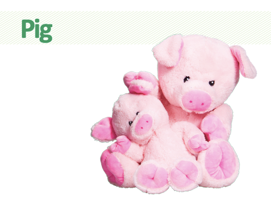 Picture of Pig