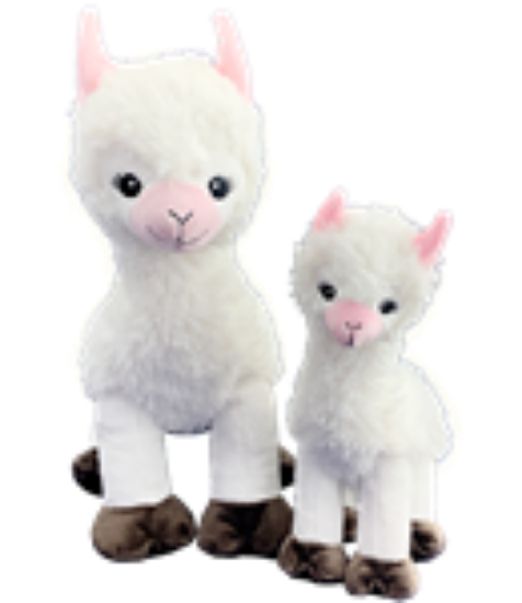 Picture of Llama