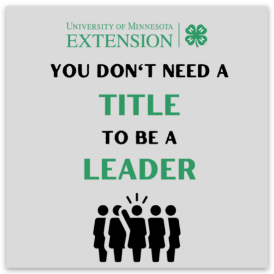 Picture of Leader Title