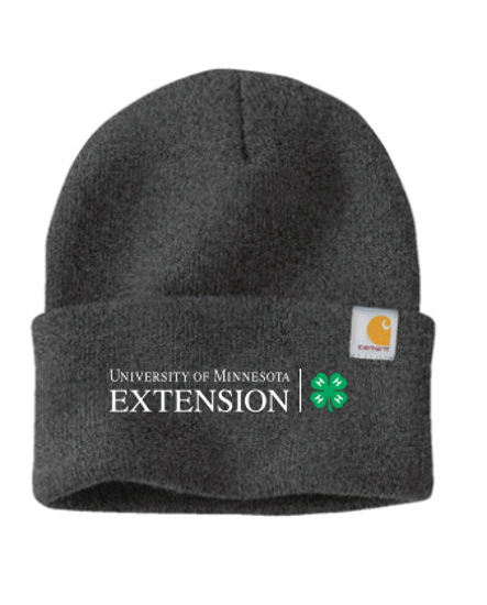 Picture of Carhartt Beanie