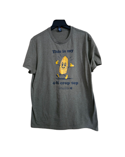 Picture of Crop Top Tee