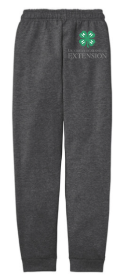 Picture of Joggers: Embroidered Heather Grey