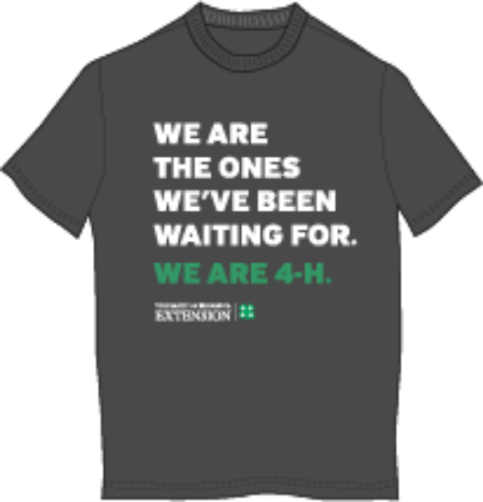 Picture of We are the Ones