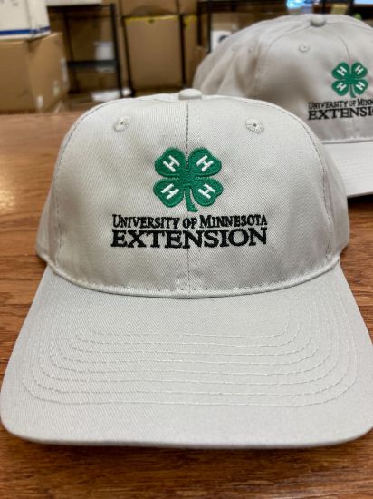 Picture of Baseball Cap - Youth Gray